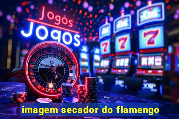 imagem secador do flamengo